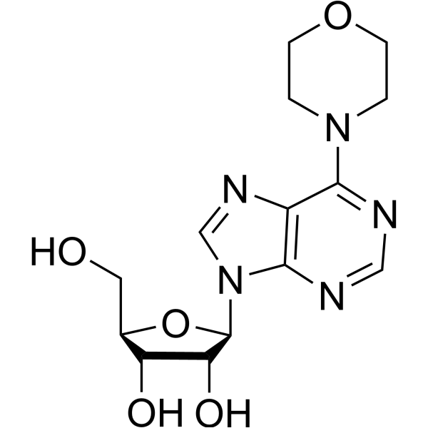 6-(4-Morpholinyl)-9-β-D-ribofuranosyl-9H-purine 52940-48-4